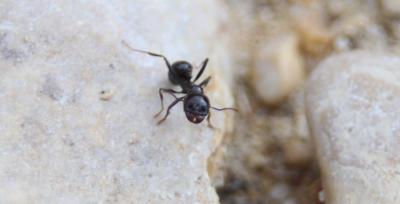 Прикрепленное изображение: IMG_9841.jpg